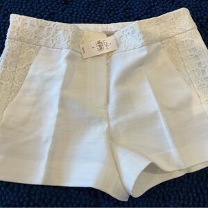 LOFT High Waist Off White Lace Shorts-NWT